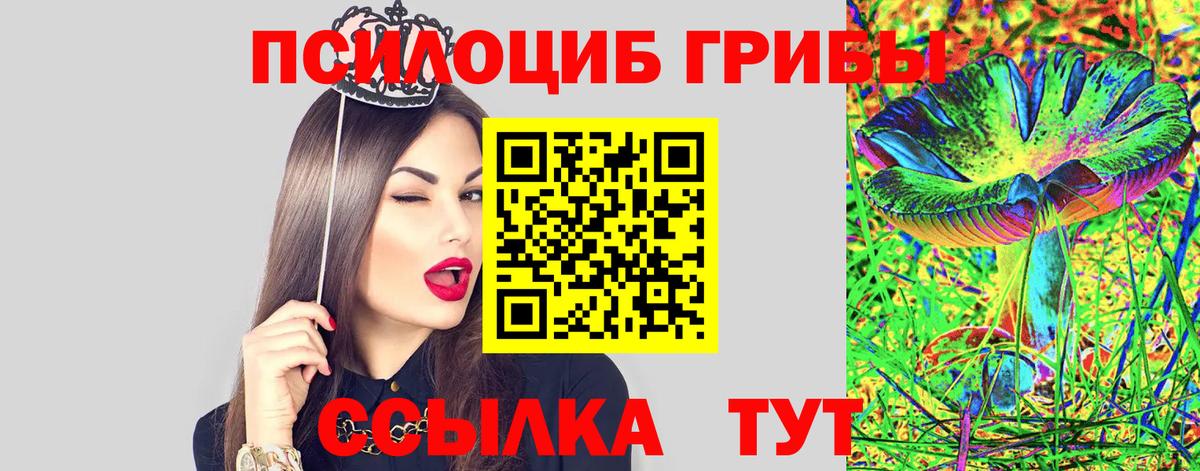 Псилоцибиновые грибы мицелий Луховицы